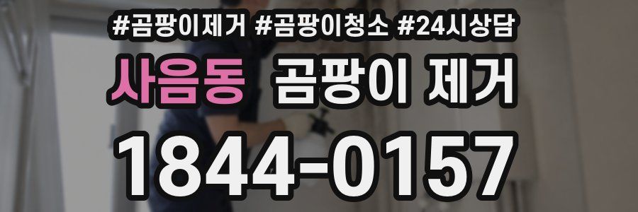 사음동 곰팡이 제거