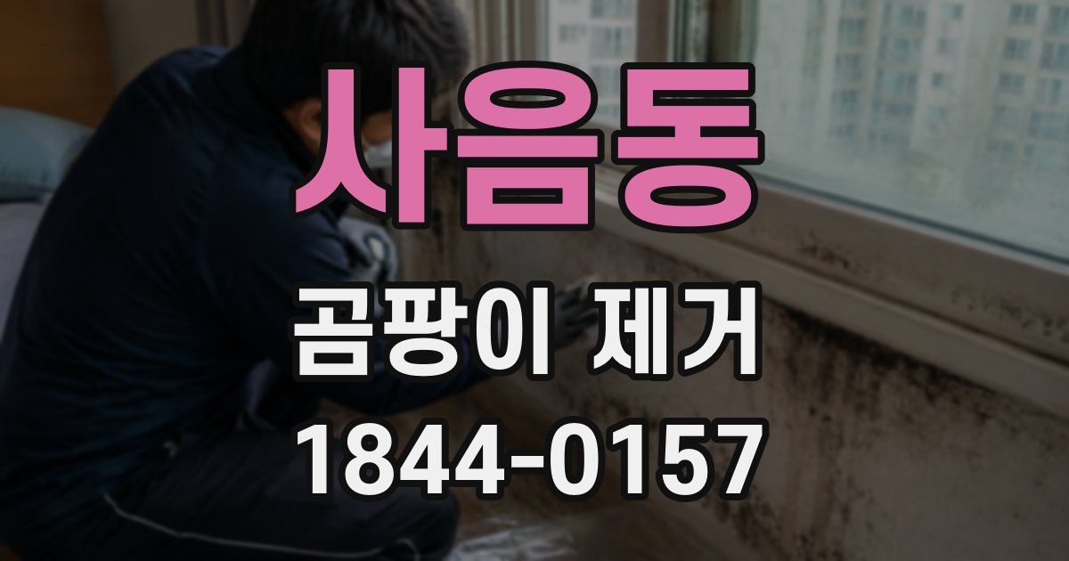 사음동 곰팡이 제거