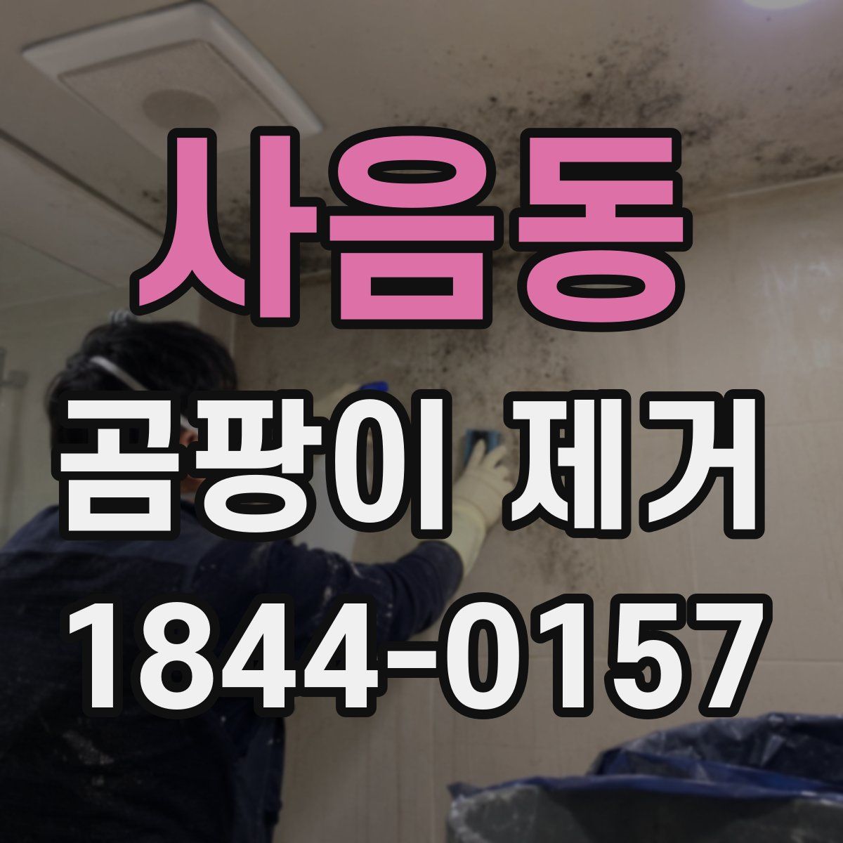 사음동 곰팡이 제거