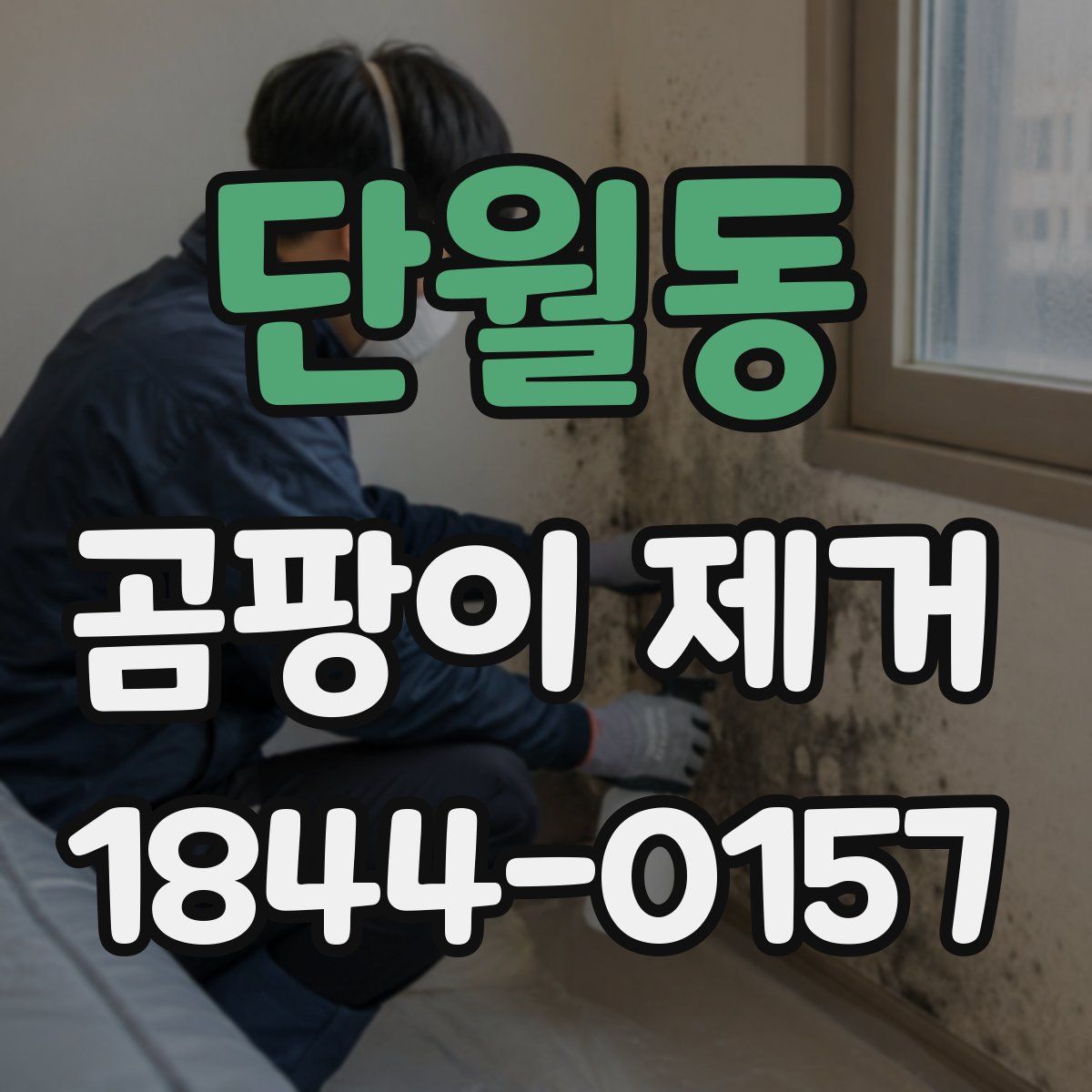 단월동 곰팡이 제거