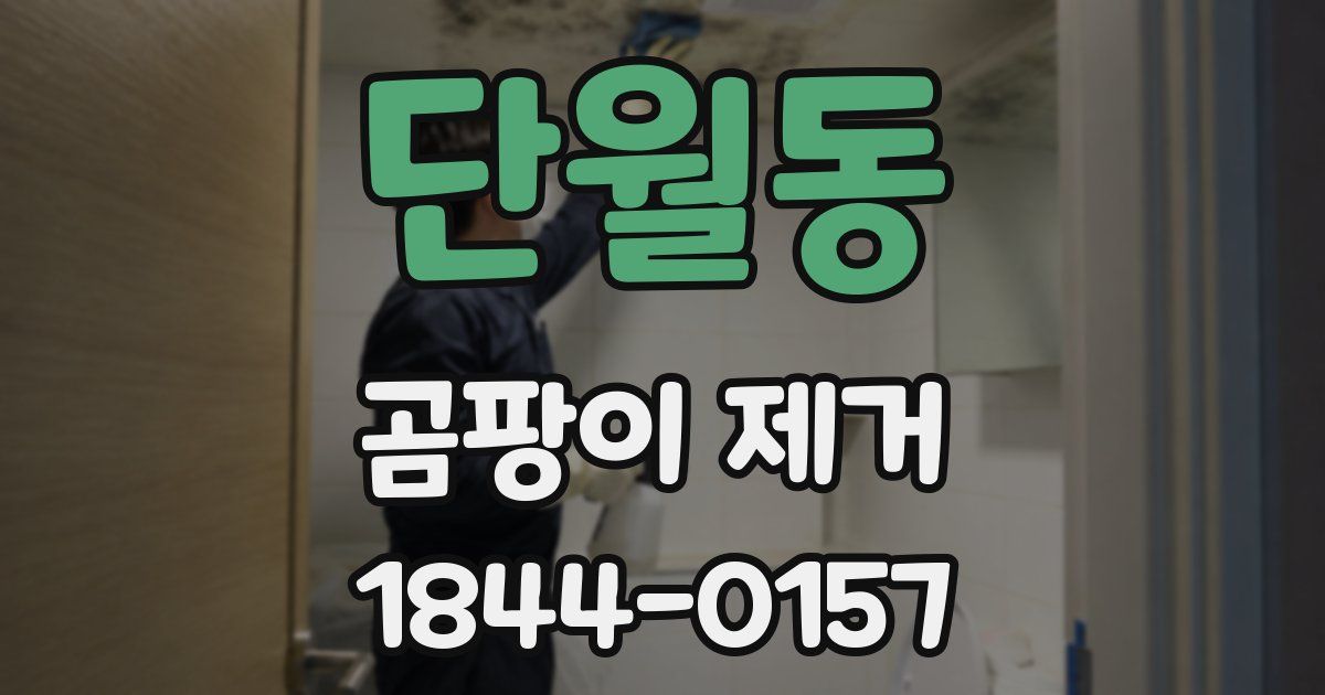 단월동 곰팡이 제거