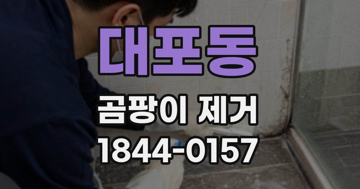대포동 곰팡이 제거