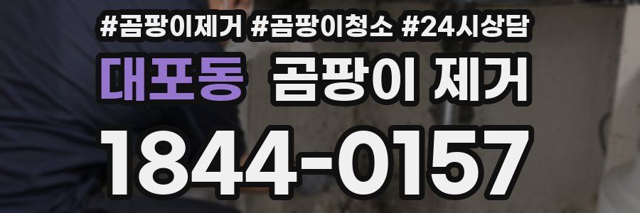 대포동 곰팡이 제거
