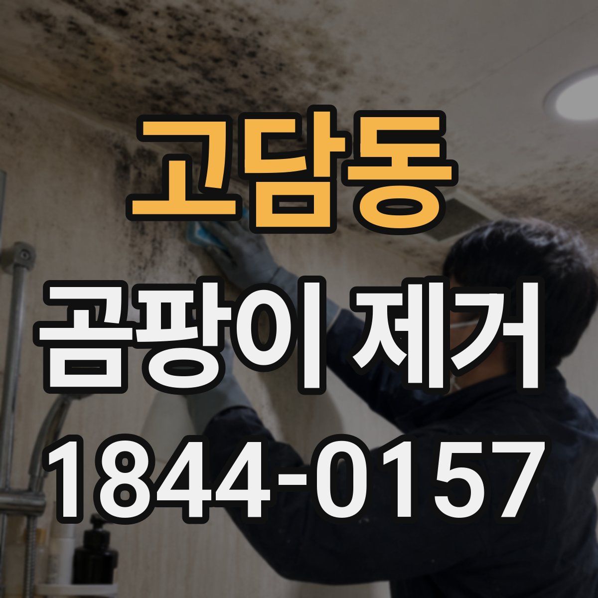 고담동 곰팡이 제거