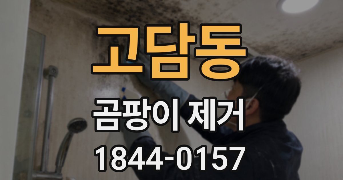 고담동 곰팡이 제거