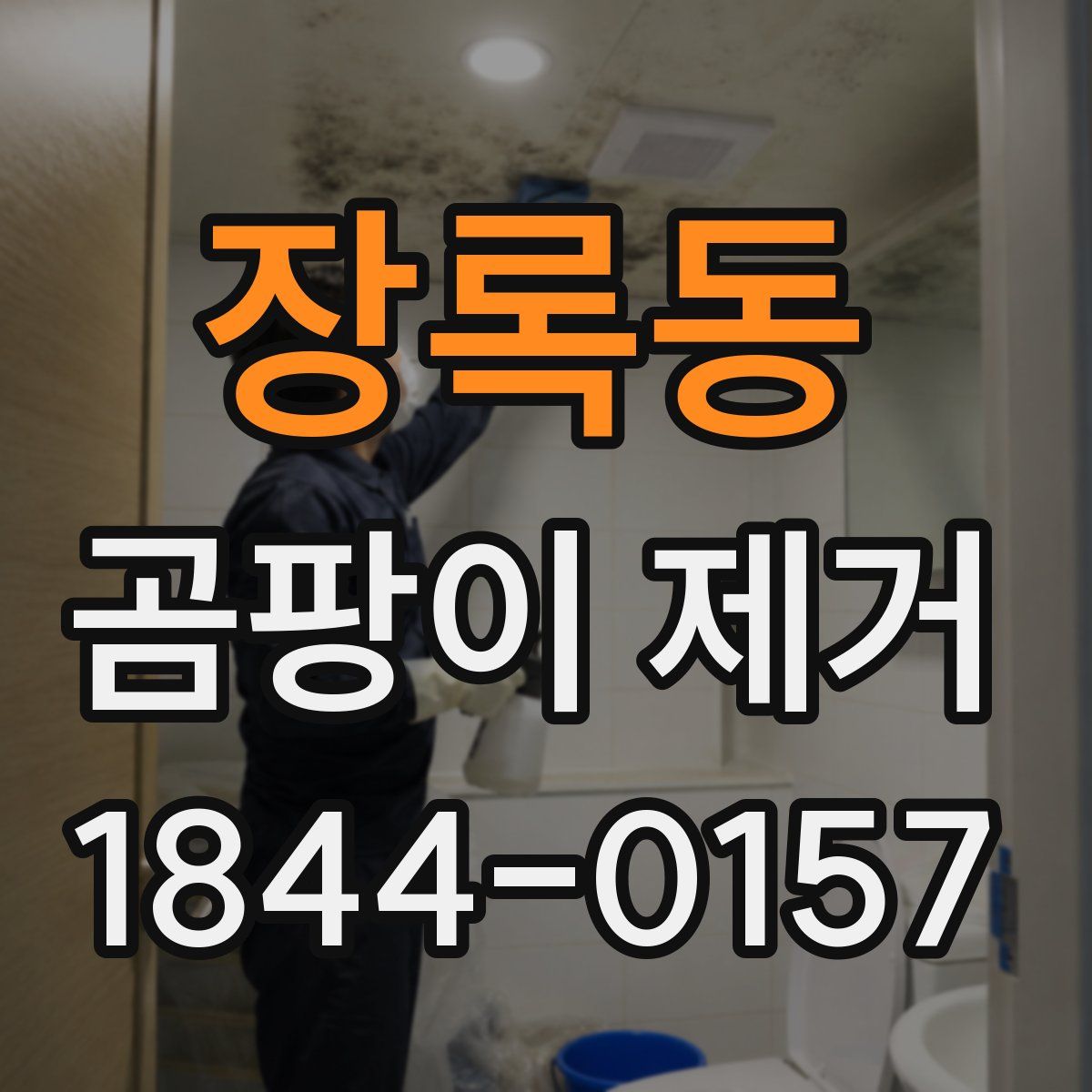 장록동 곰팡이 제거