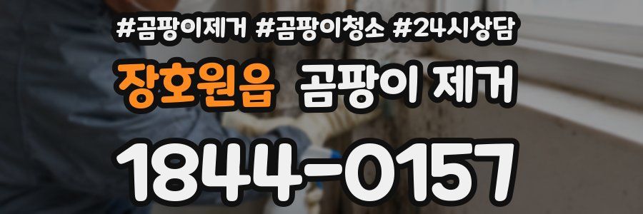 장호원읍 곰팡이 제거