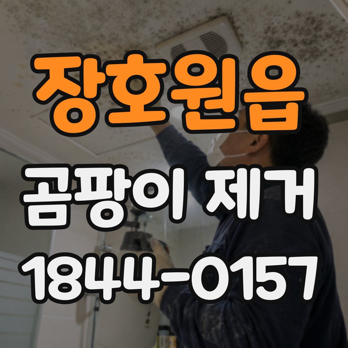 장호원읍 곰팡이 제거
