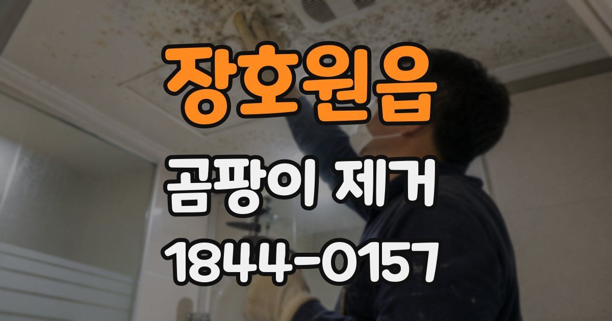 장호원읍 곰팡이 제거