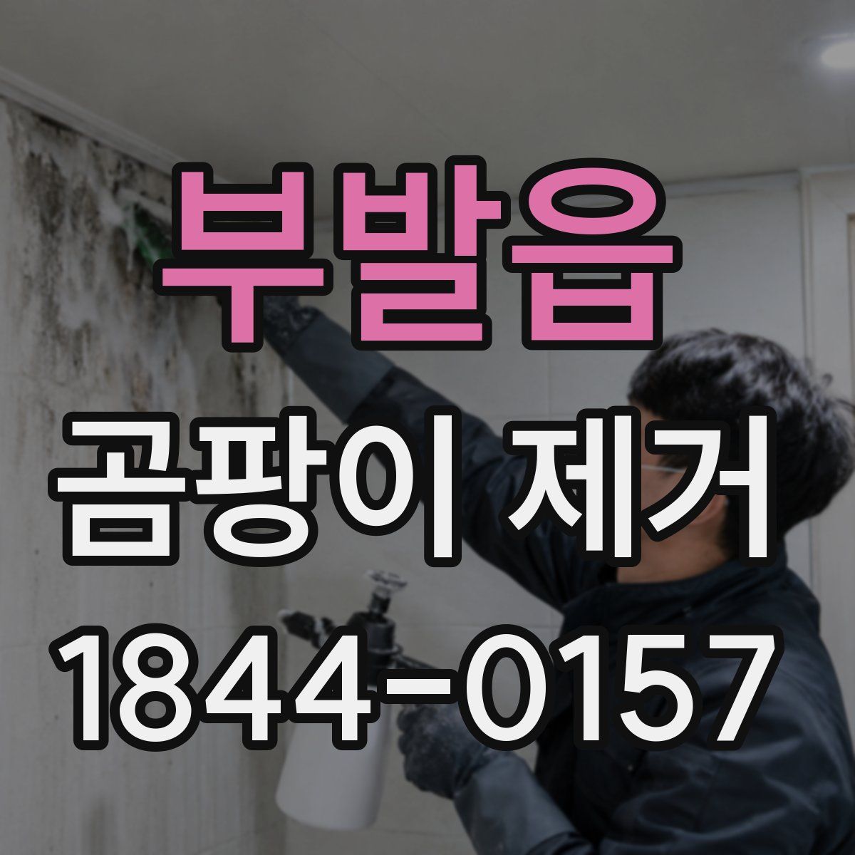 부발읍 곰팡이 제거