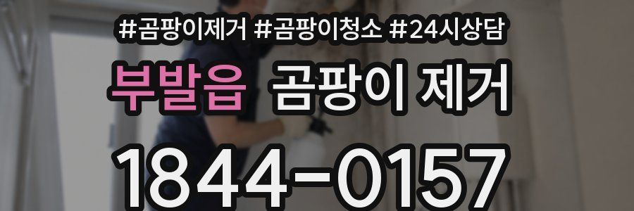 부발읍 곰팡이 제거