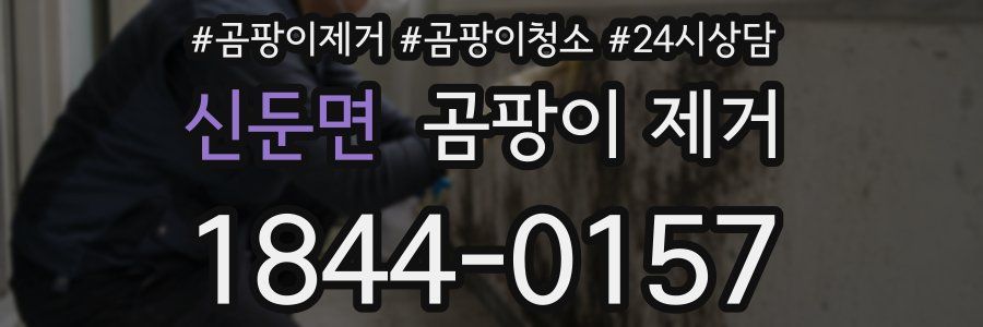 신둔면 곰팡이 제거