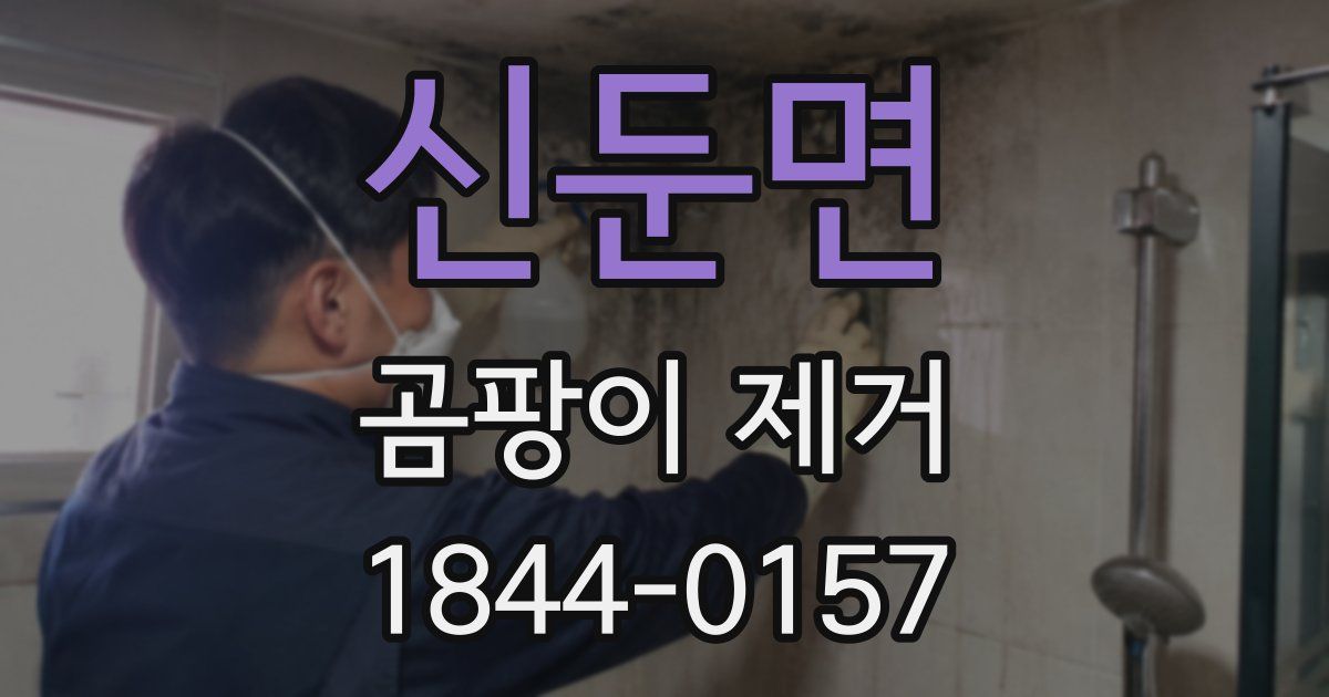신둔면 곰팡이 제거