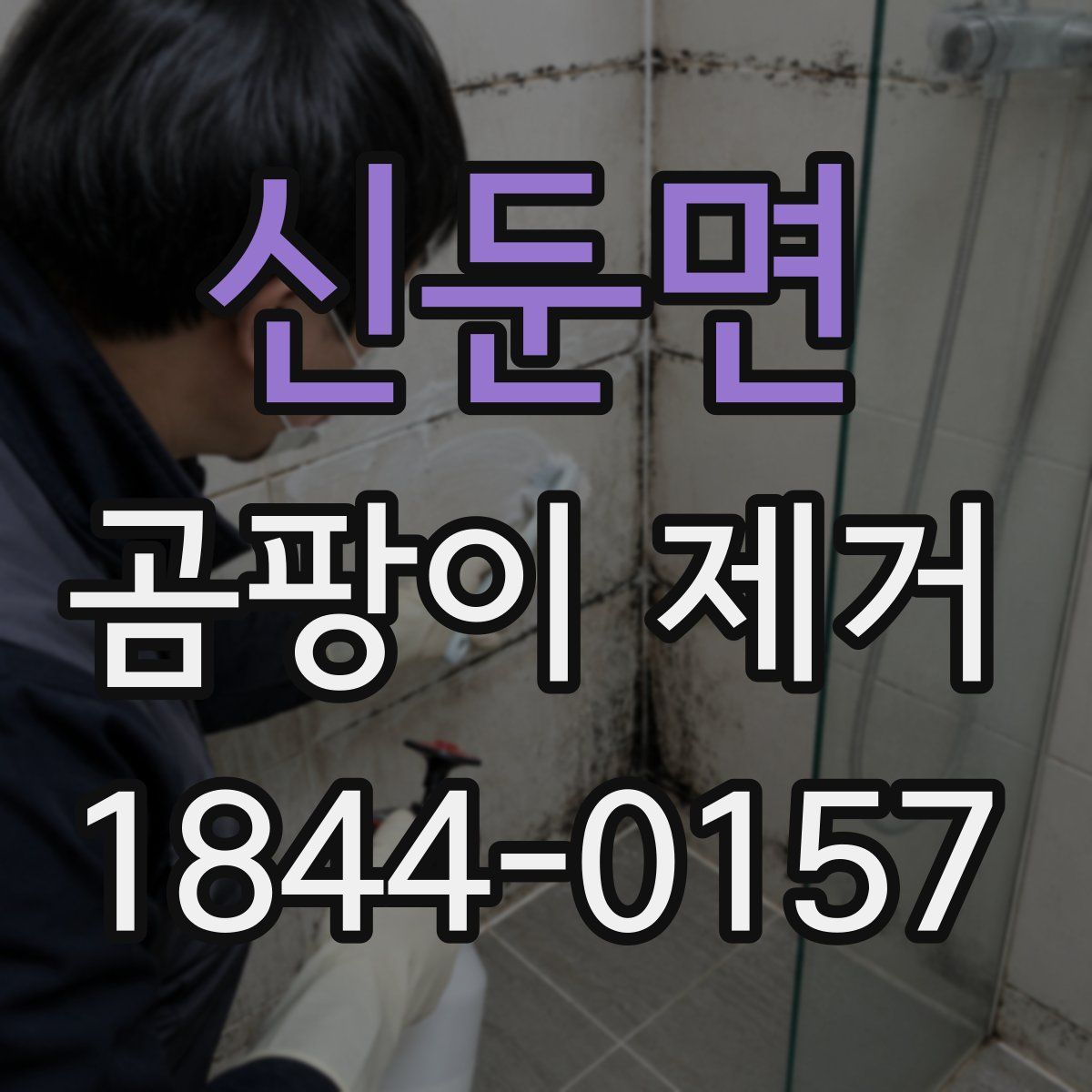 신둔면 곰팡이 제거