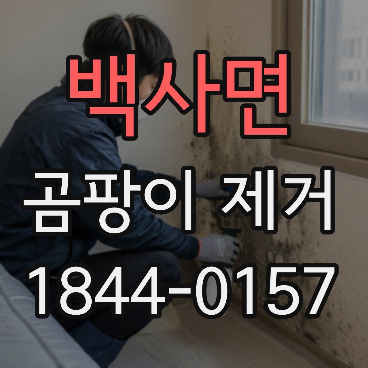 백사면 곰팡이 제거