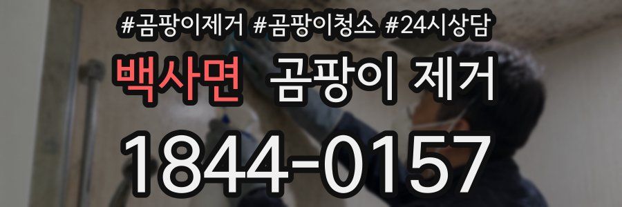 백사면 곰팡이 제거