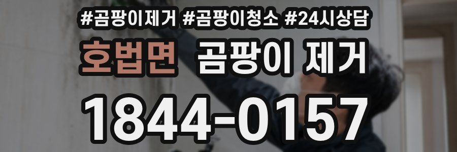 호법면 곰팡이 제거
