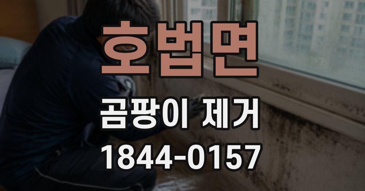 호법면 곰팡이 제거