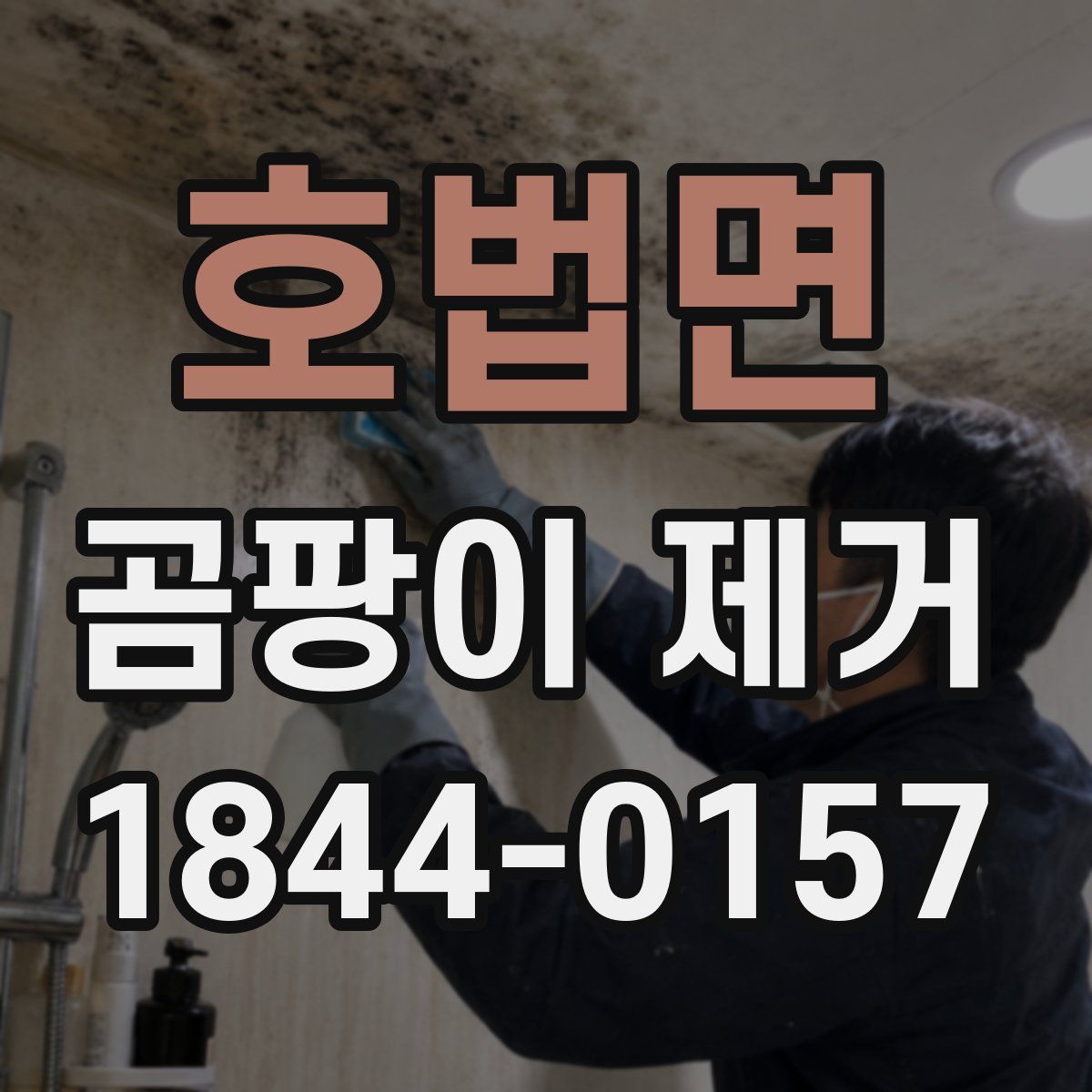 호법면 곰팡이 제거