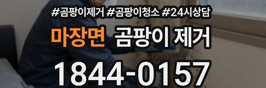 마장면 곰팡이 제거
