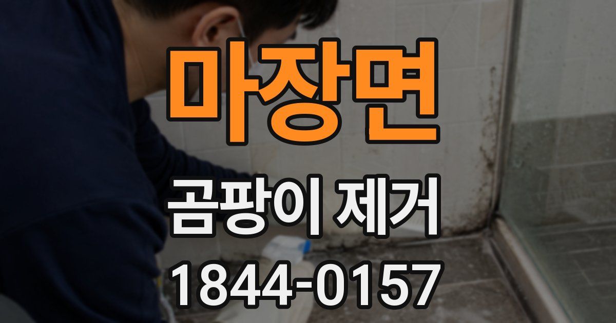 마장면 곰팡이 제거