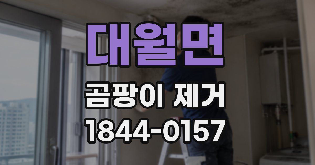 대월면 곰팡이 제거