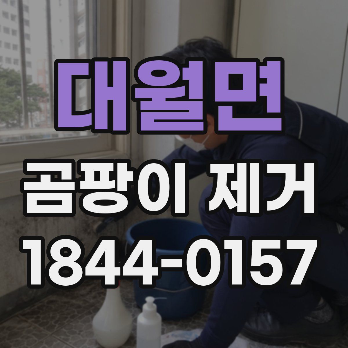 대월면 곰팡이 제거