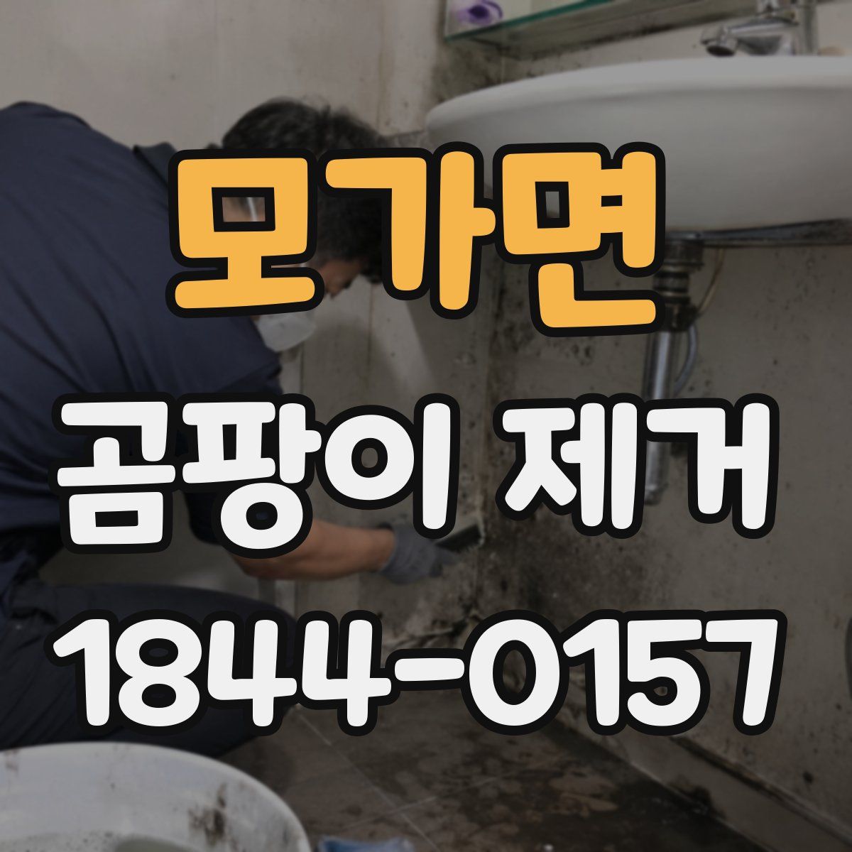 모가면 곰팡이 제거