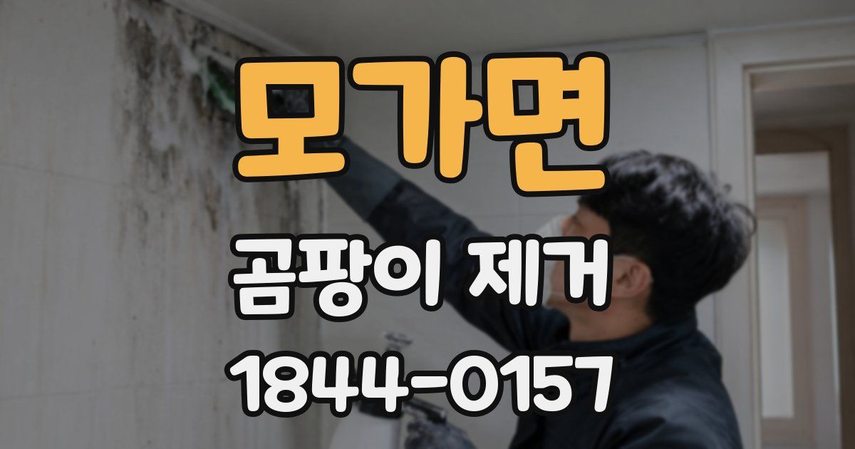 모가면 곰팡이 제거