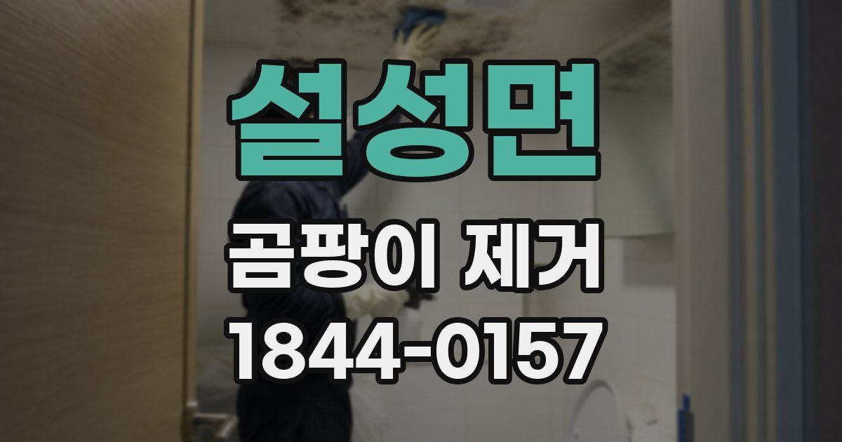 설성면 곰팡이 제거