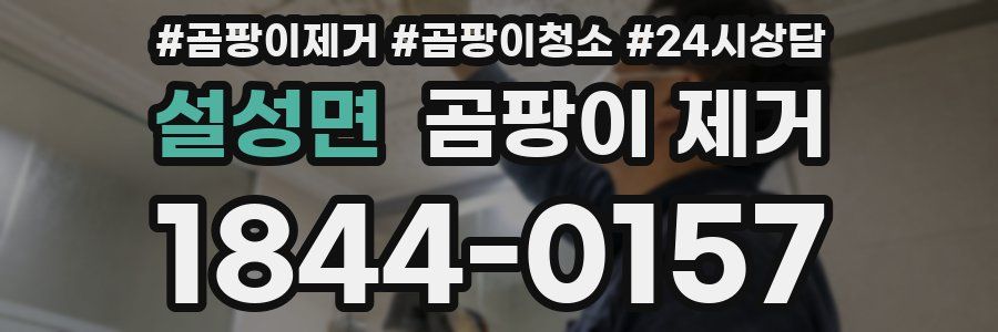 설성면 곰팡이 제거