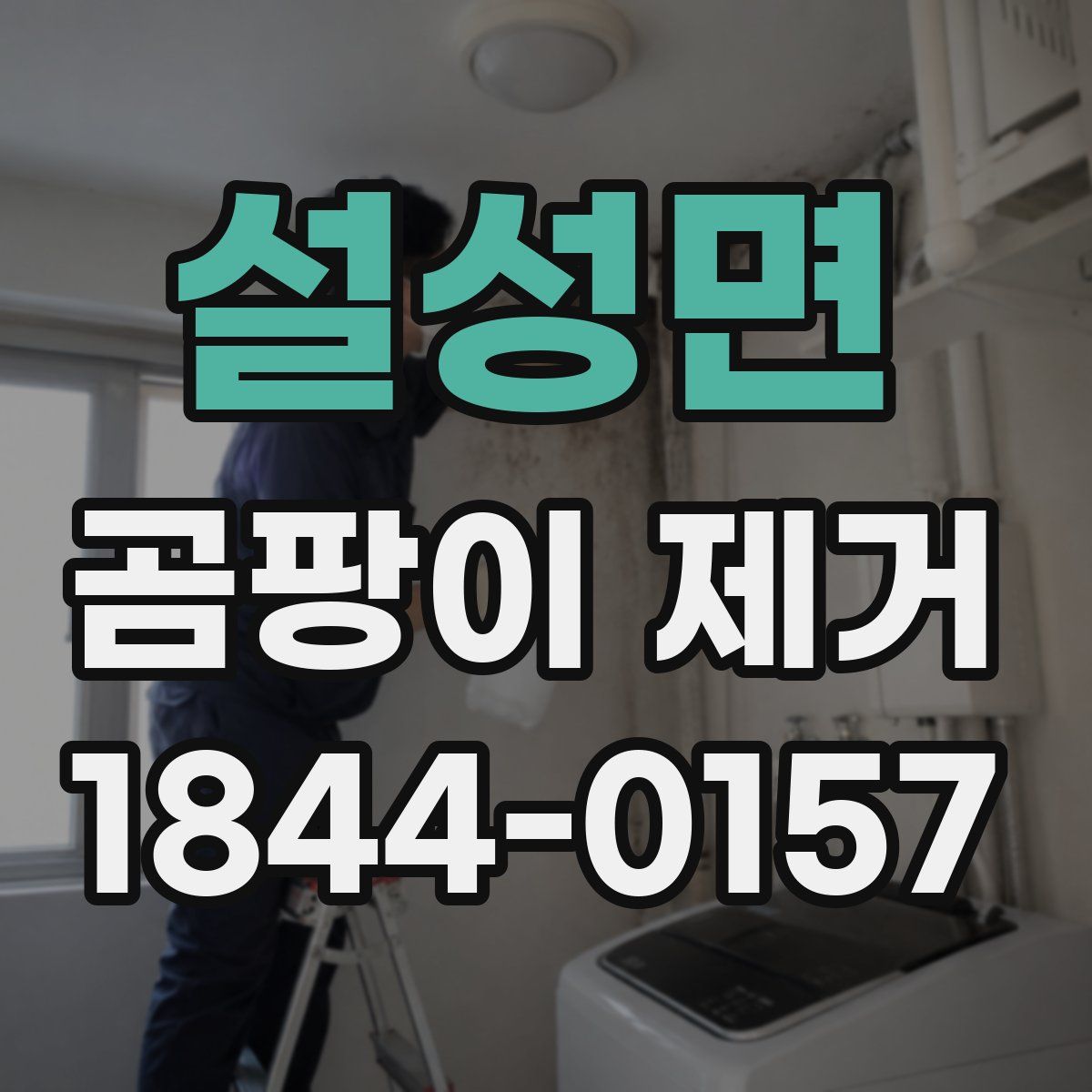 설성면 곰팡이 제거