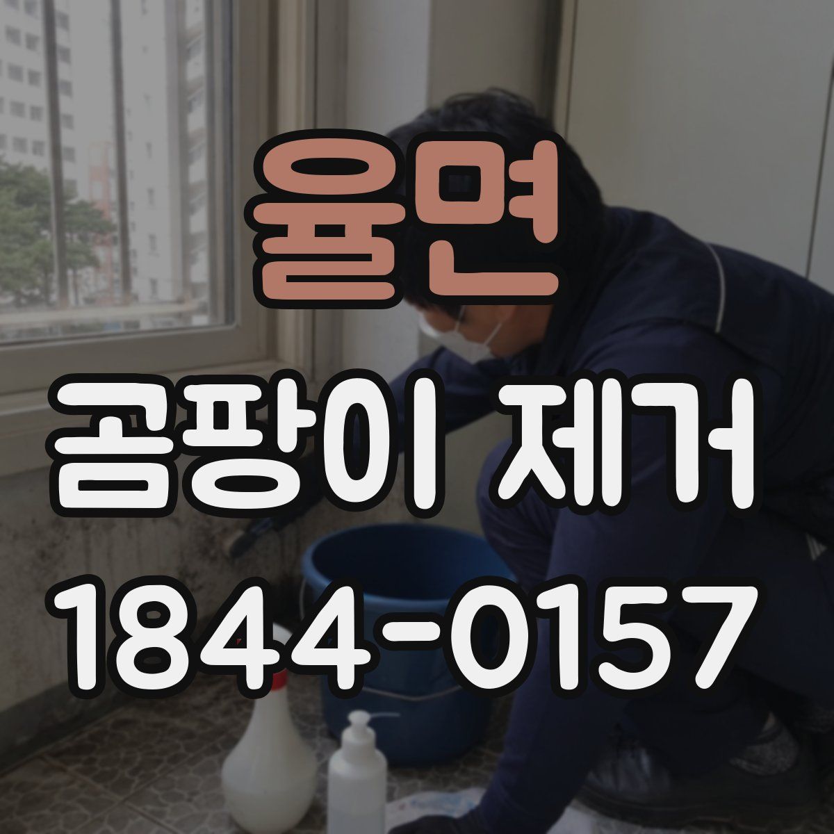 율면 곰팡이 제거