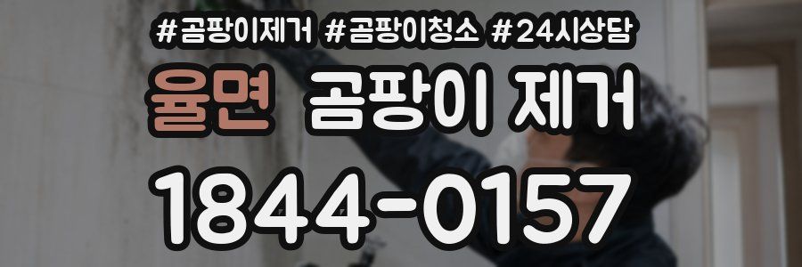율면 곰팡이 제거
