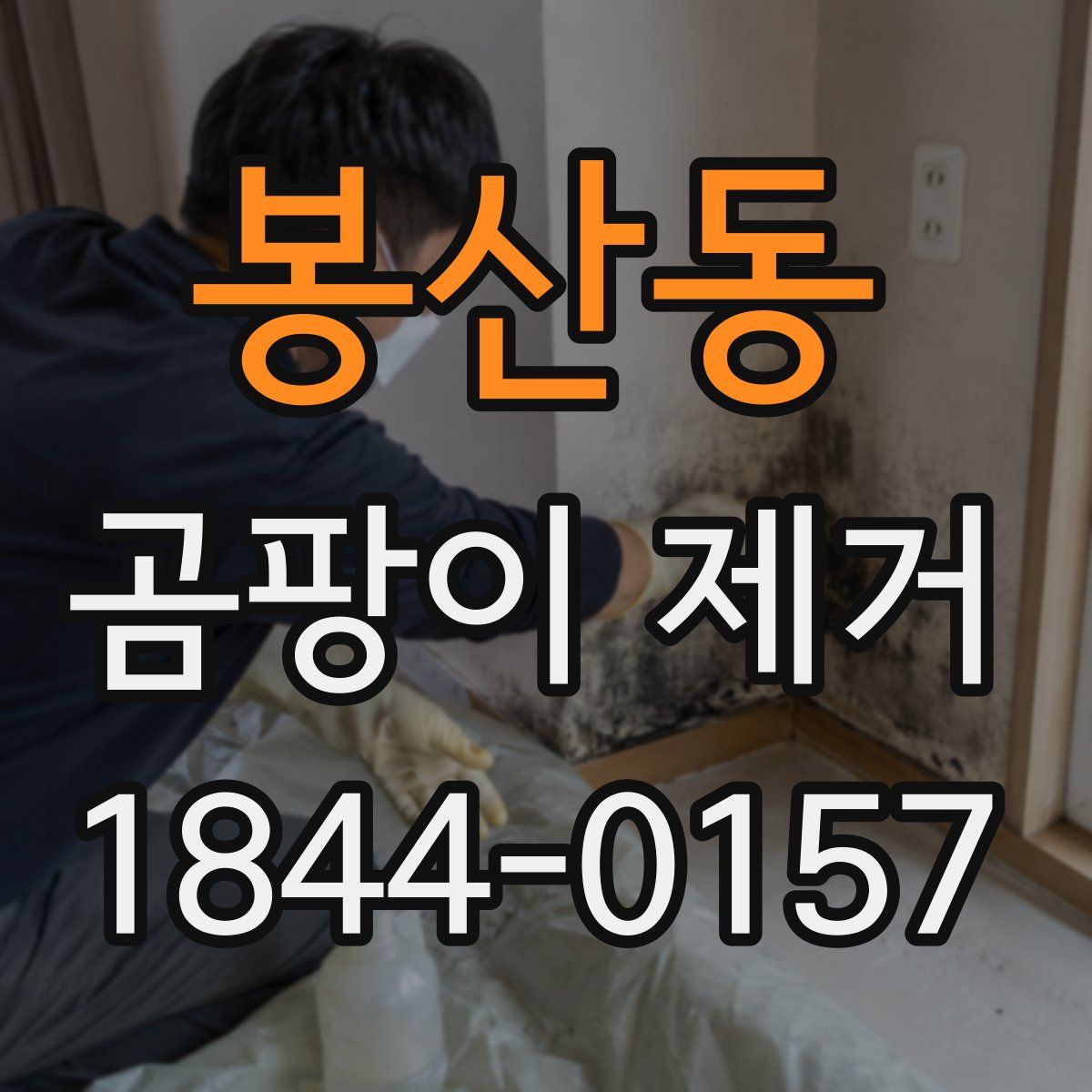 봉산동 곰팡이 제거