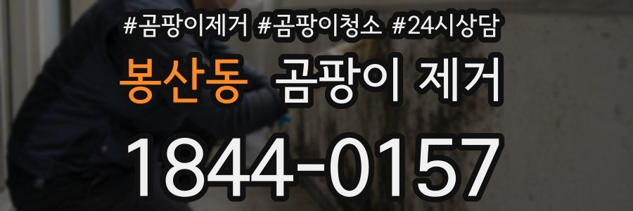 봉산동 곰팡이 제거