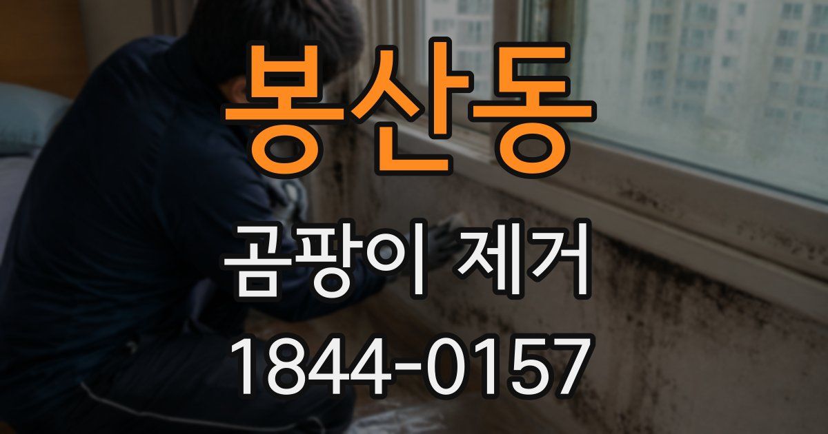 봉산동 곰팡이 제거