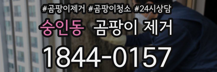 숭인동 곰팡이 제거