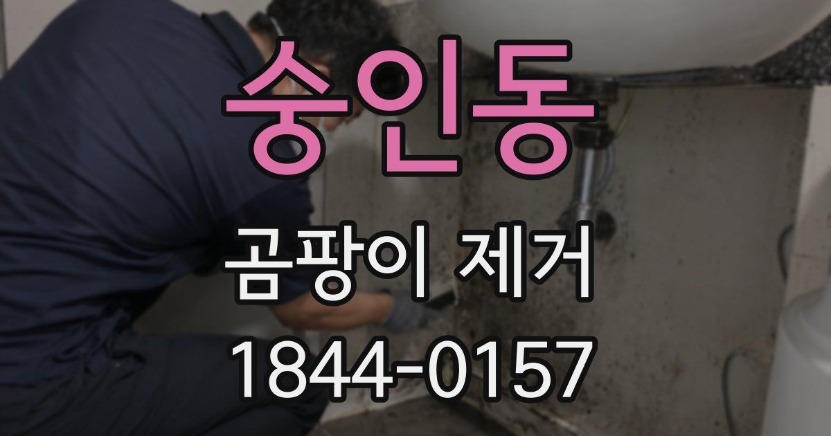 숭인동 곰팡이 제거