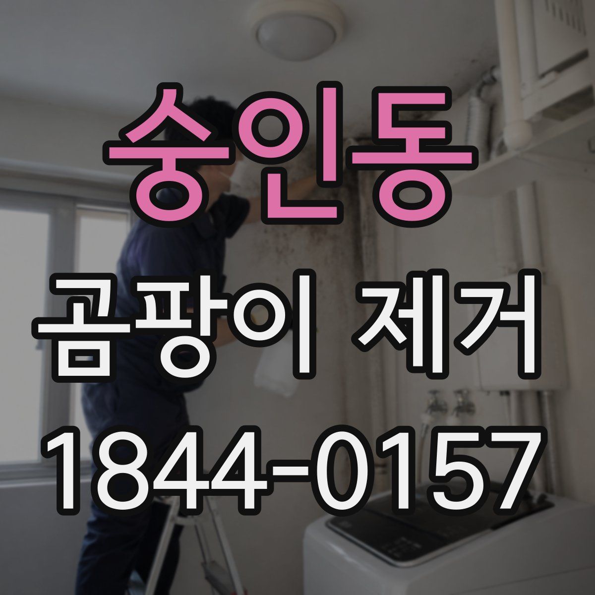 숭인동 곰팡이 제거