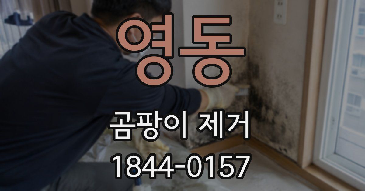 영동 곰팡이 제거