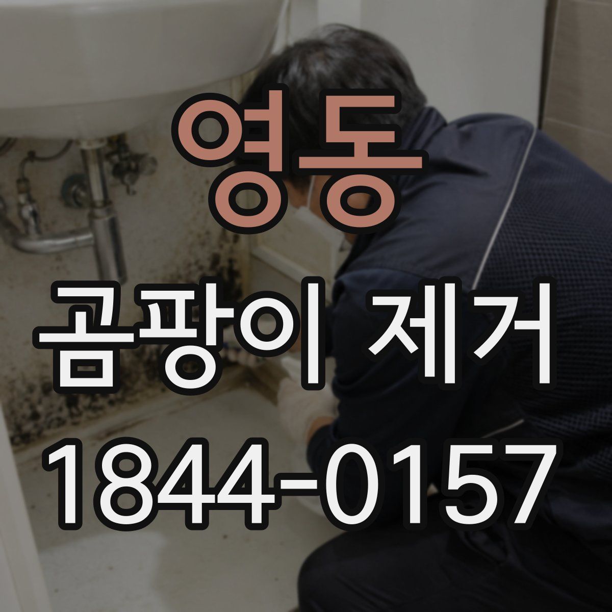 영동 곰팡이 제거