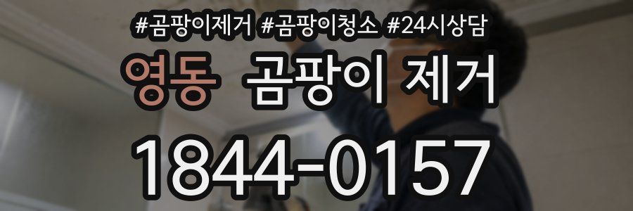 영동 곰팡이 제거