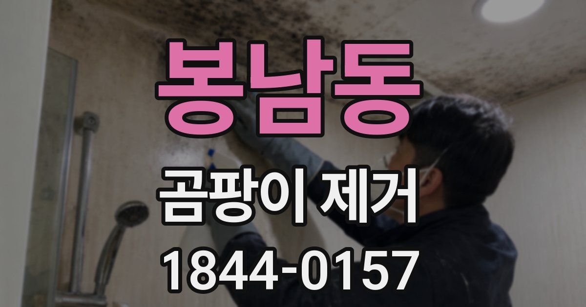 봉남동 곰팡이 제거