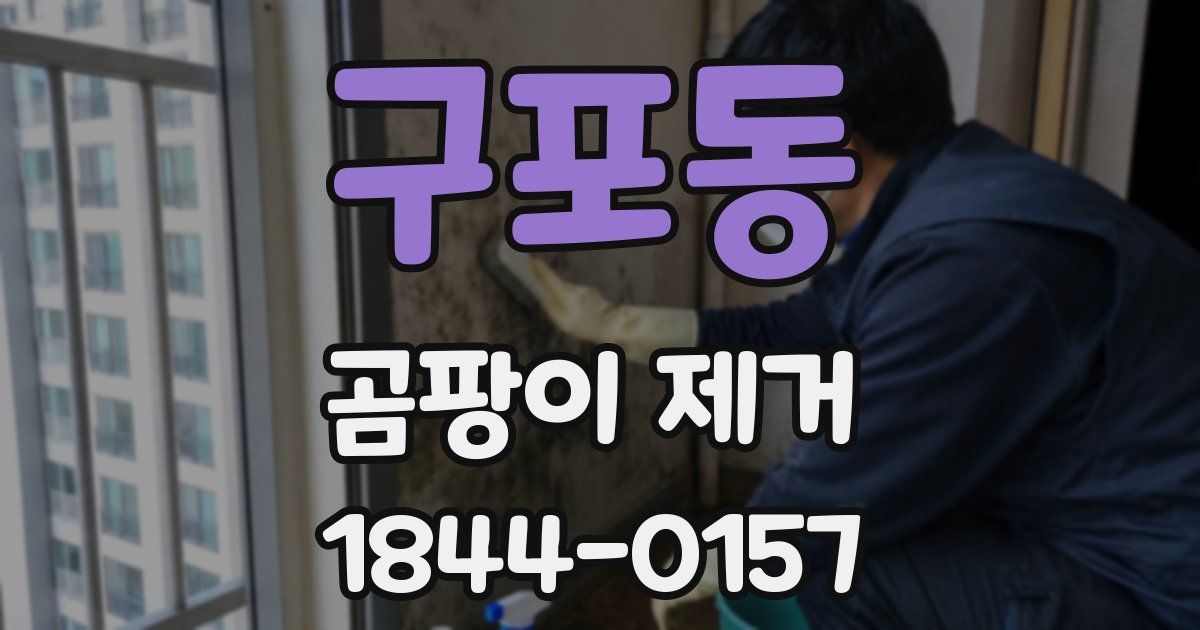 구포동 곰팡이 제거