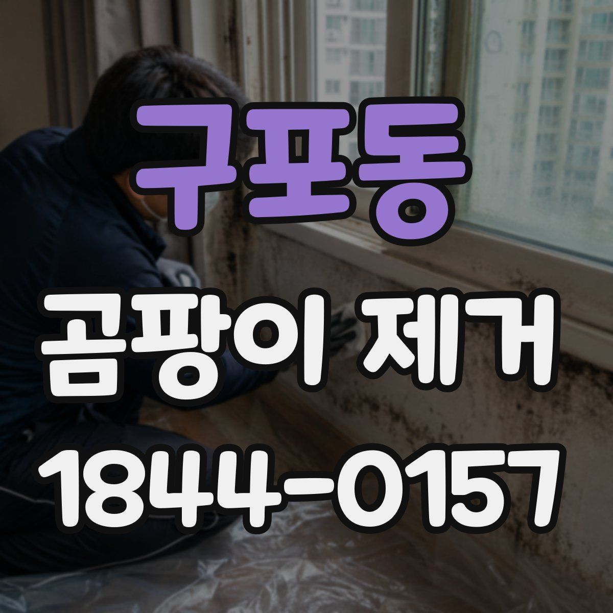 구포동 곰팡이 제거
