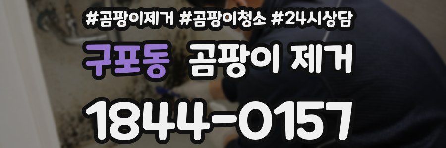 구포동 곰팡이 제거