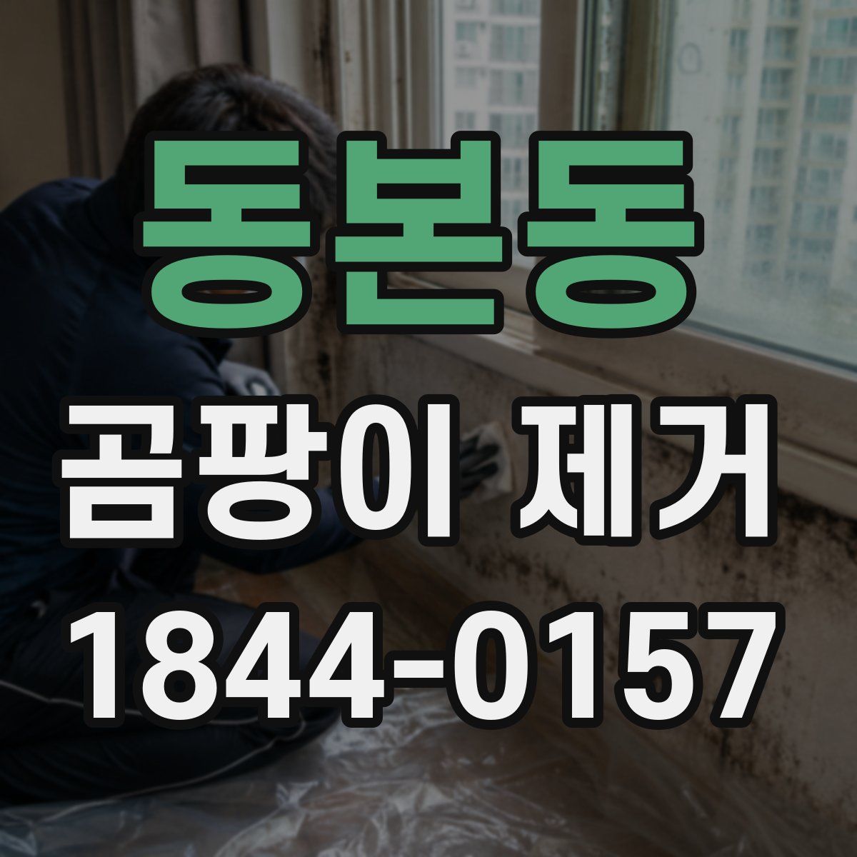 동본동 곰팡이 제거