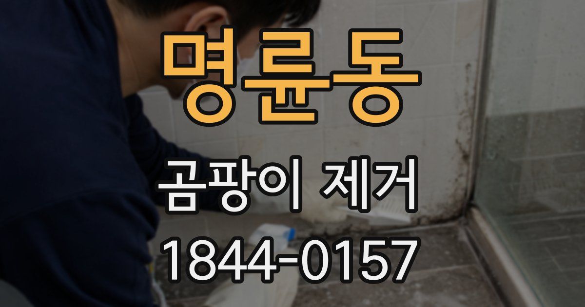 명륜동 곰팡이 제거