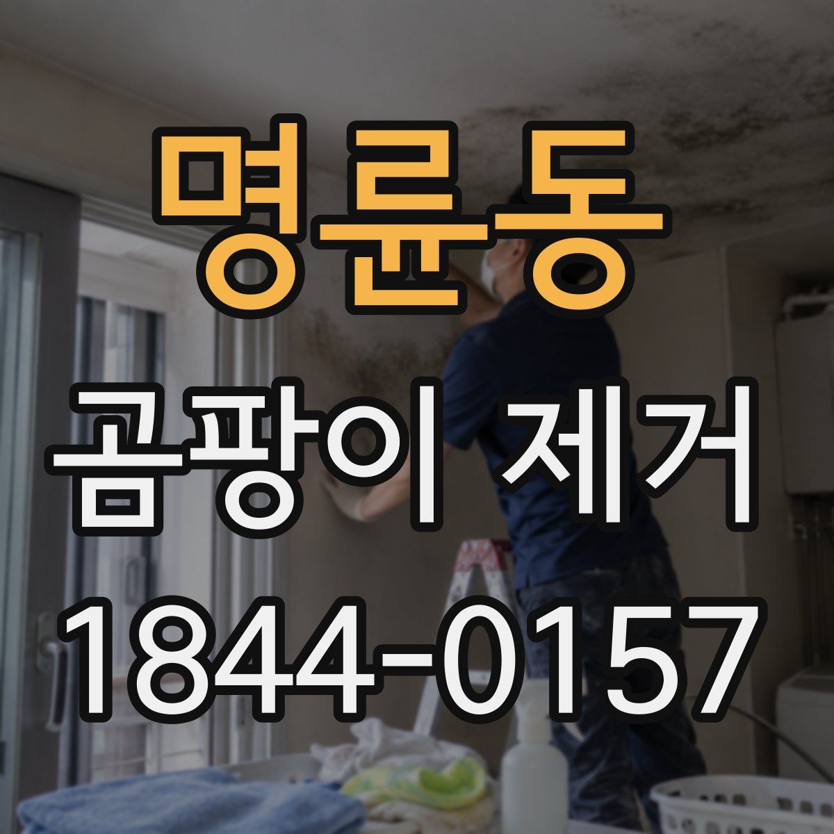 명륜동 곰팡이 제거